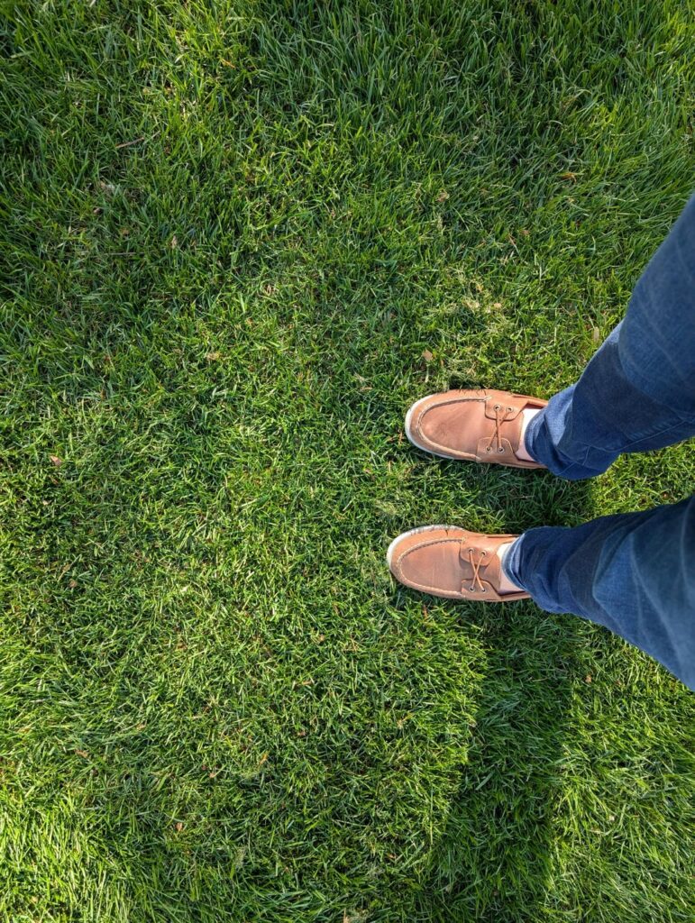 It's spring. Finally.