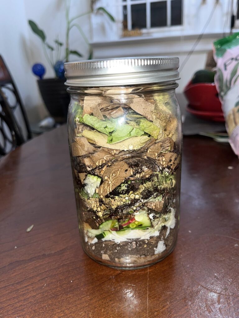 indoor composting jar progress – started March 4th 2025 indoor composting jar progress - started March 4th 2025