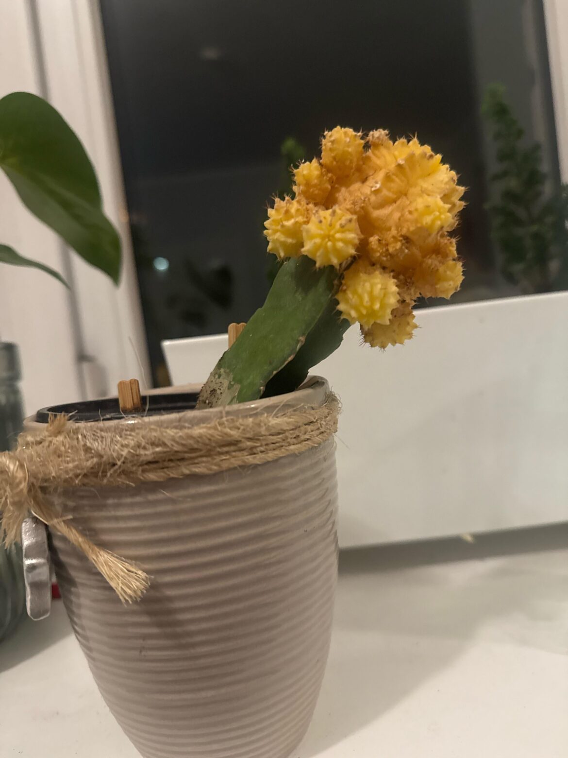 Any ideas to support this little guy struggling?
