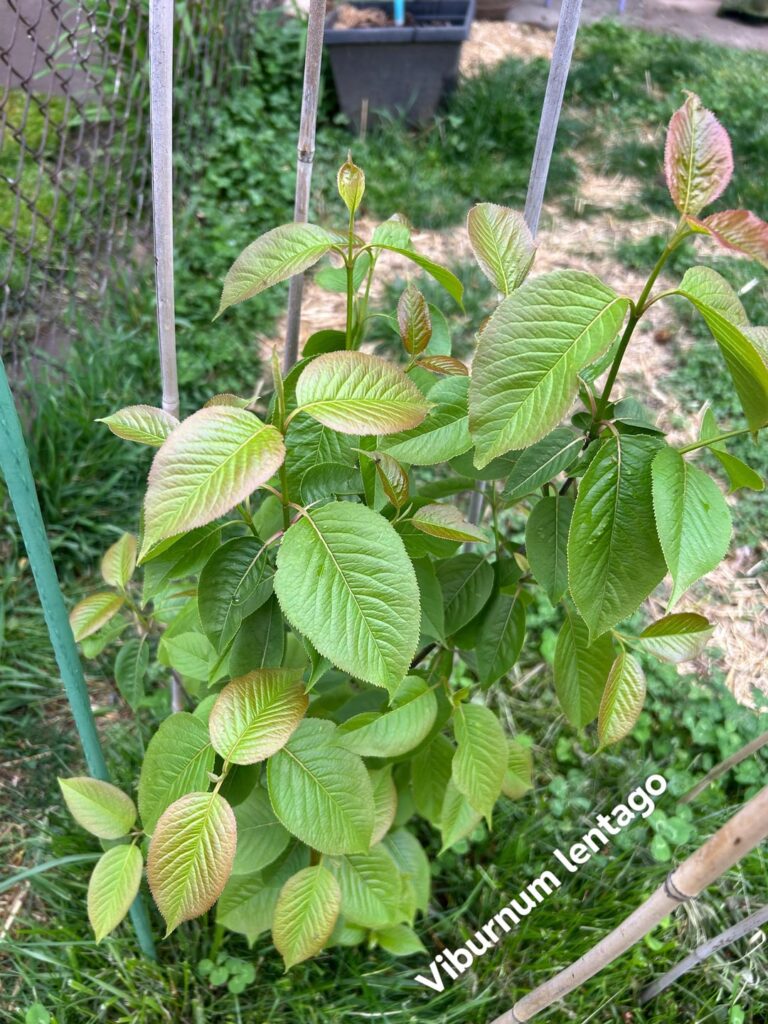 Just sharing some pics of