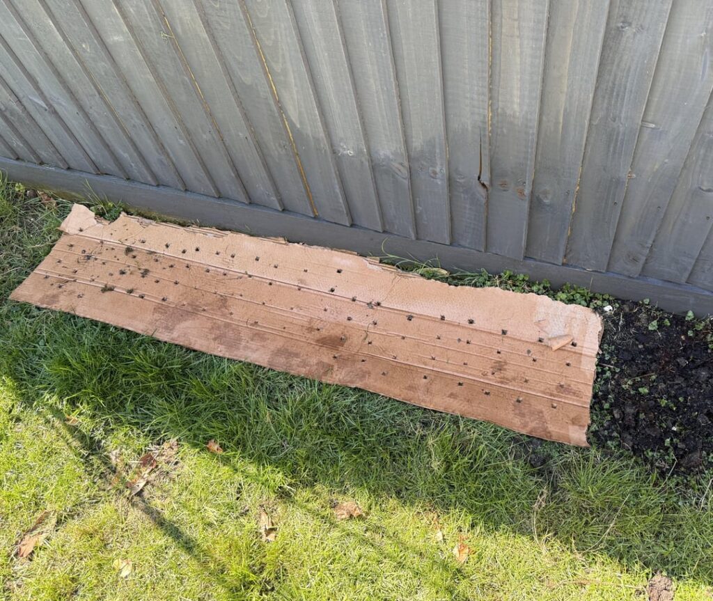 Sowing on cardboard Sowing on cardboard