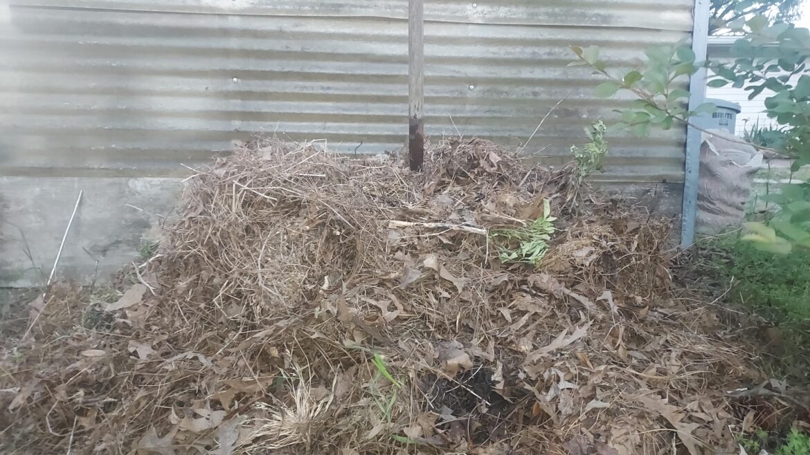 Day 1: It's a little brown heavy but the good thing about spring is there's green all around.