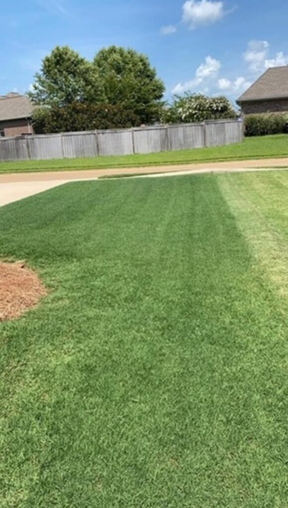 Put down “Yard Mastery” 16-0-0 with iron 5 days ago. Been getting Rain for 4 of those days.