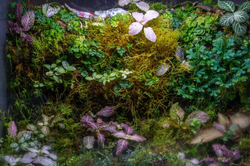 The Mossarium