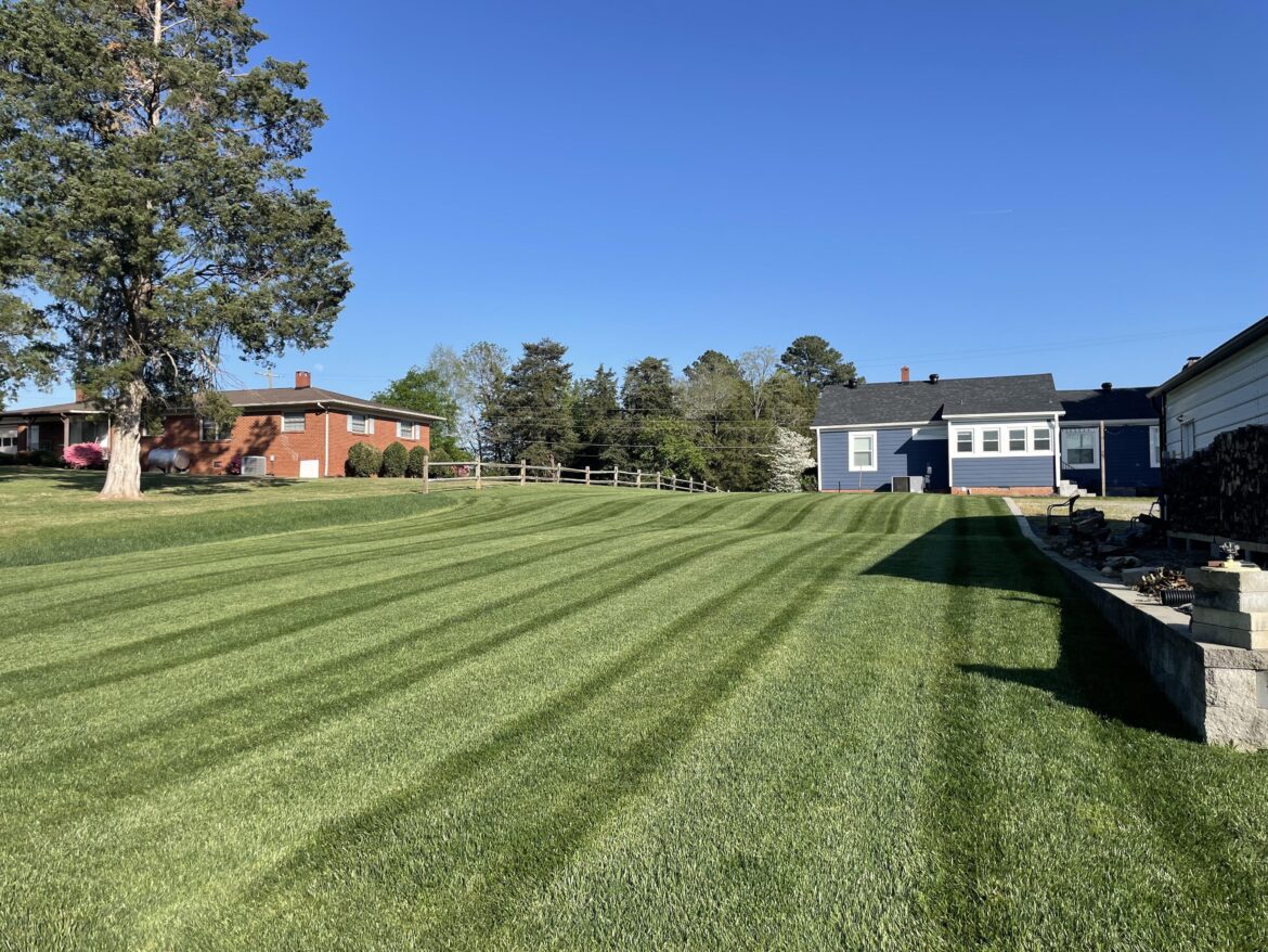 Third spring post renovation