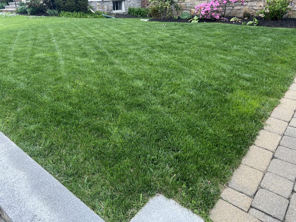 2nd mow…cool season grass starting strong. It’s not even May.