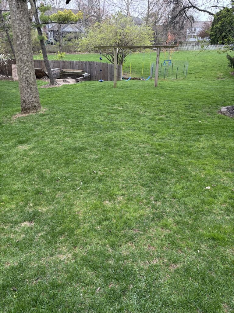 My backyard used to be awesome and now it looks like this.