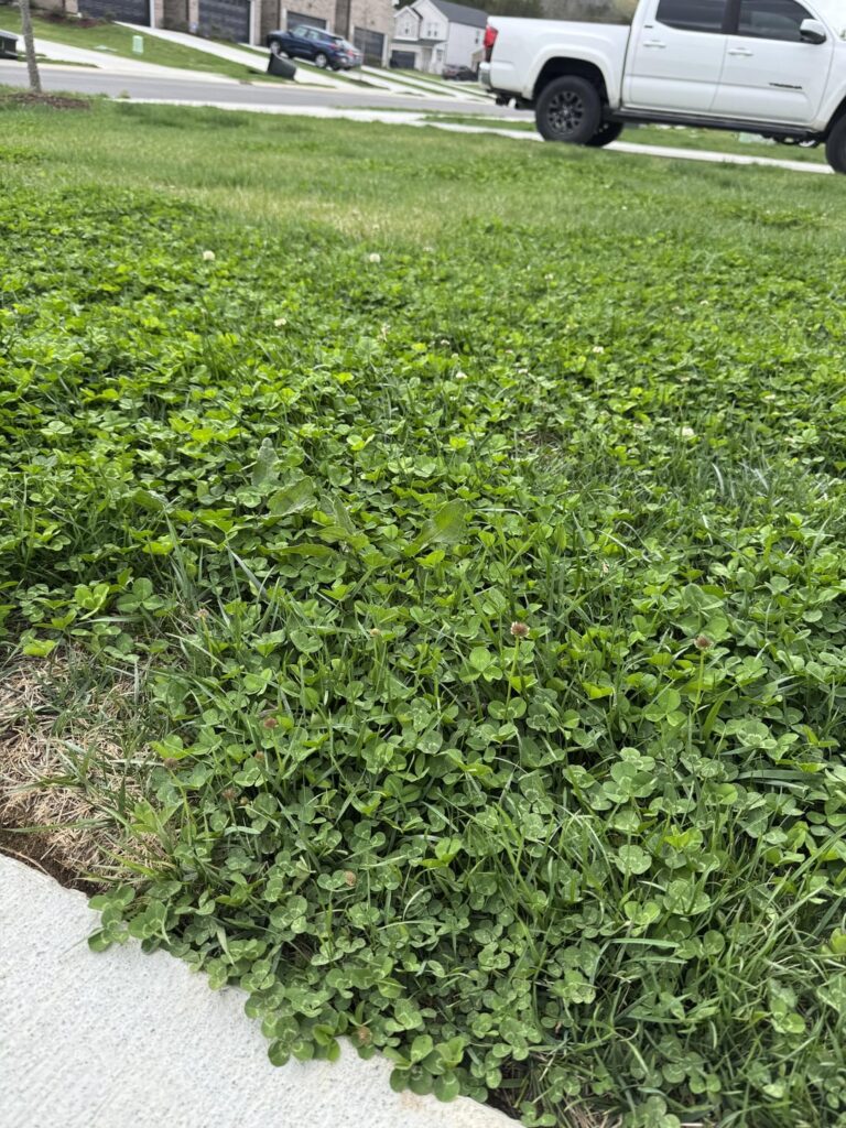 What to do with this ? ELI5