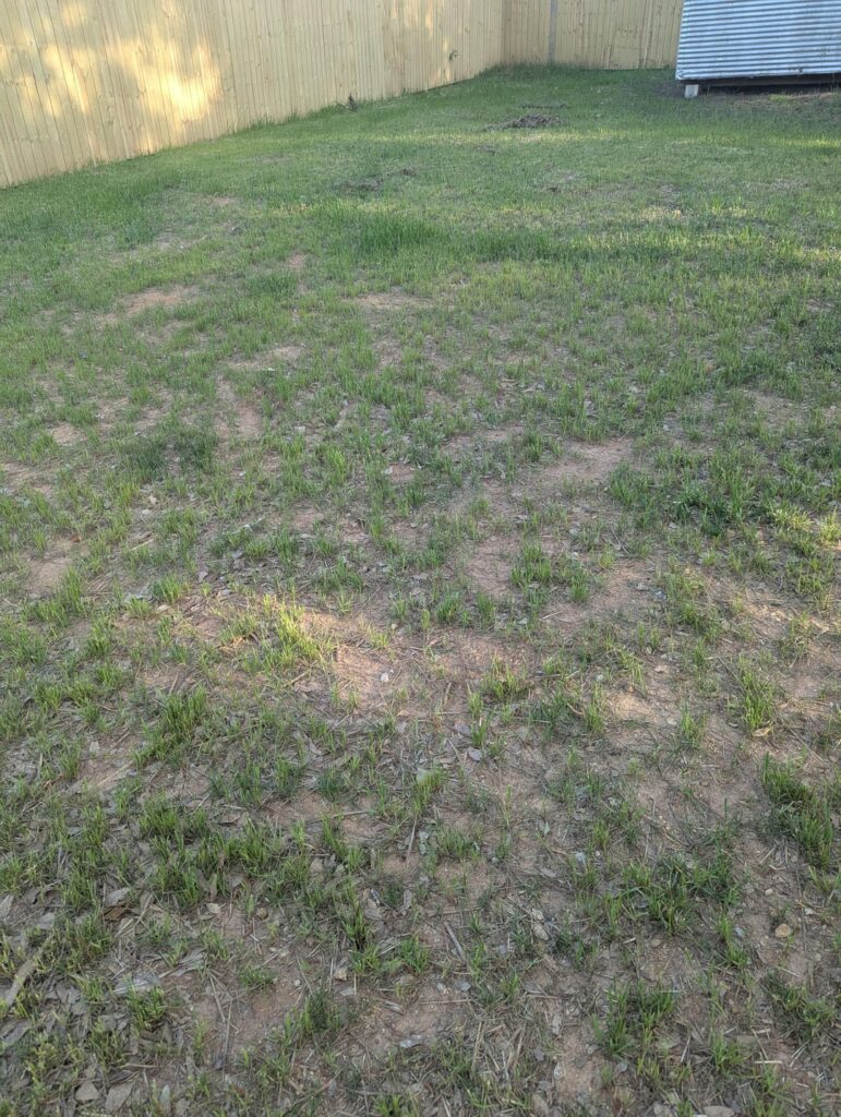 Do I need a professional? Do I need a professional?