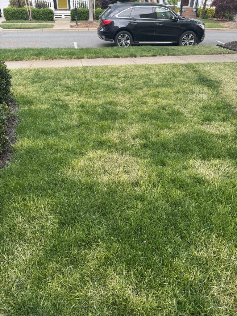 Am I screwed? Tenacity.