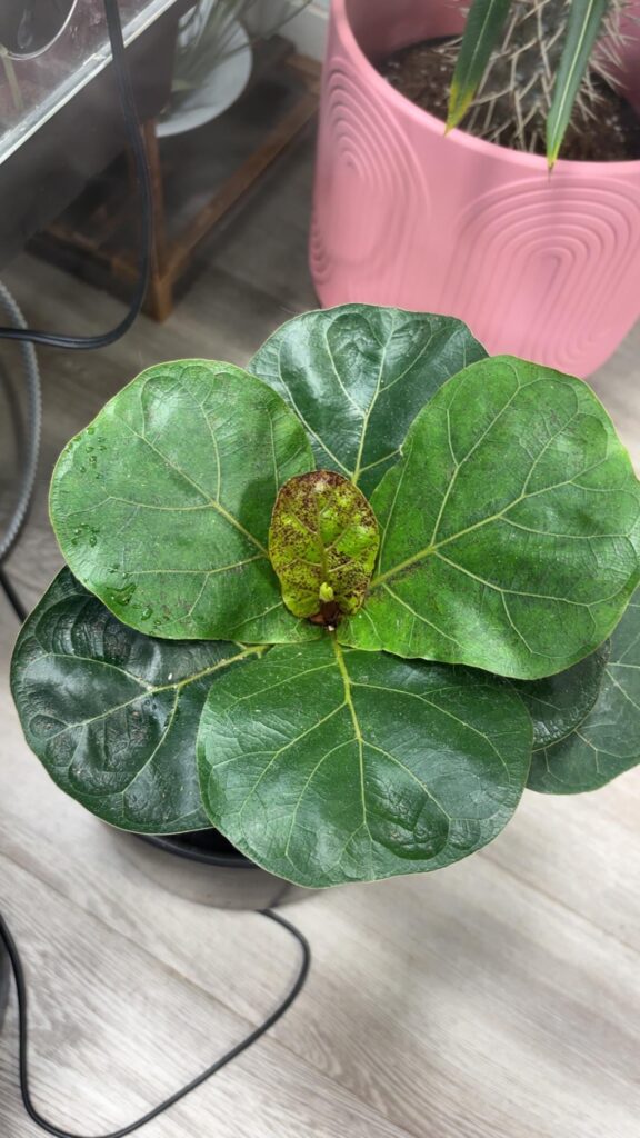 Fucker you’re new here! How are you already this upset?