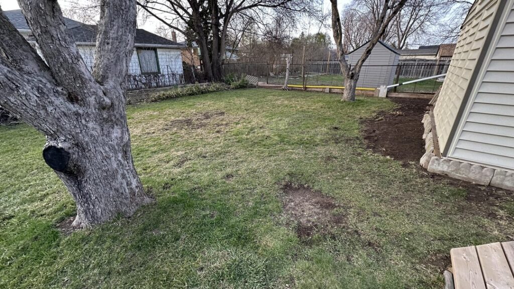 New to Over Seeding. Help! Any Suggestions?? New to Over Seeding. Help! Any Suggestions??