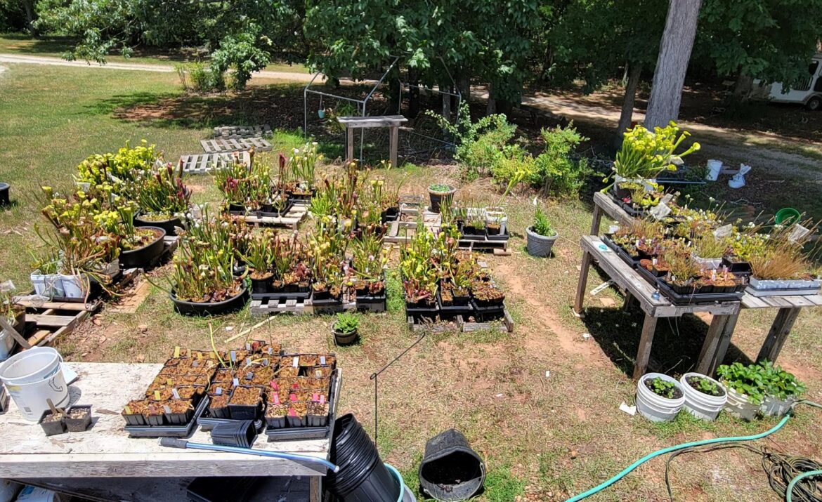Meet-up in south Atlanta