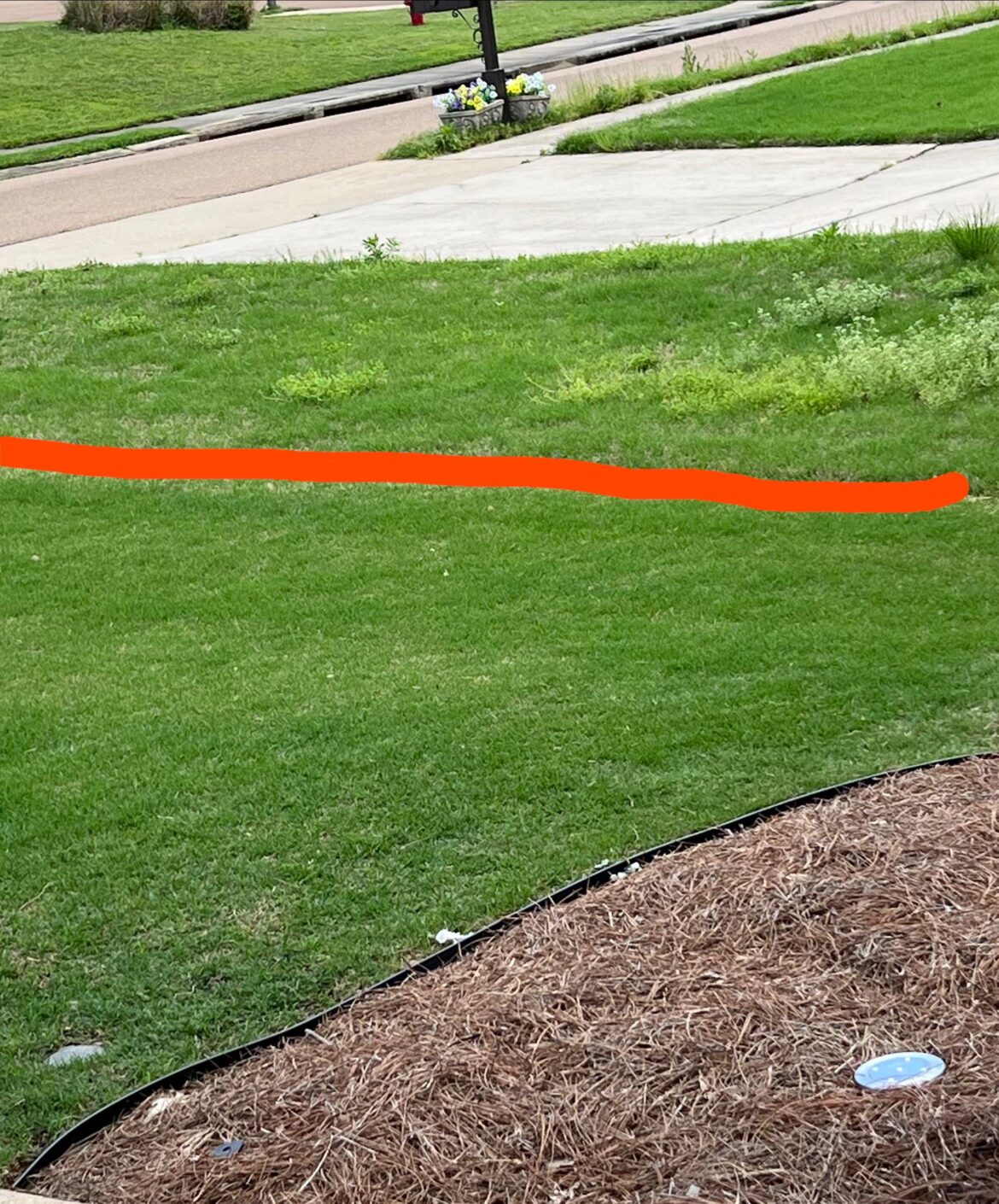 I’m hanging in there 😂 I don’t know how long. I’m doing all I can #WeedFree