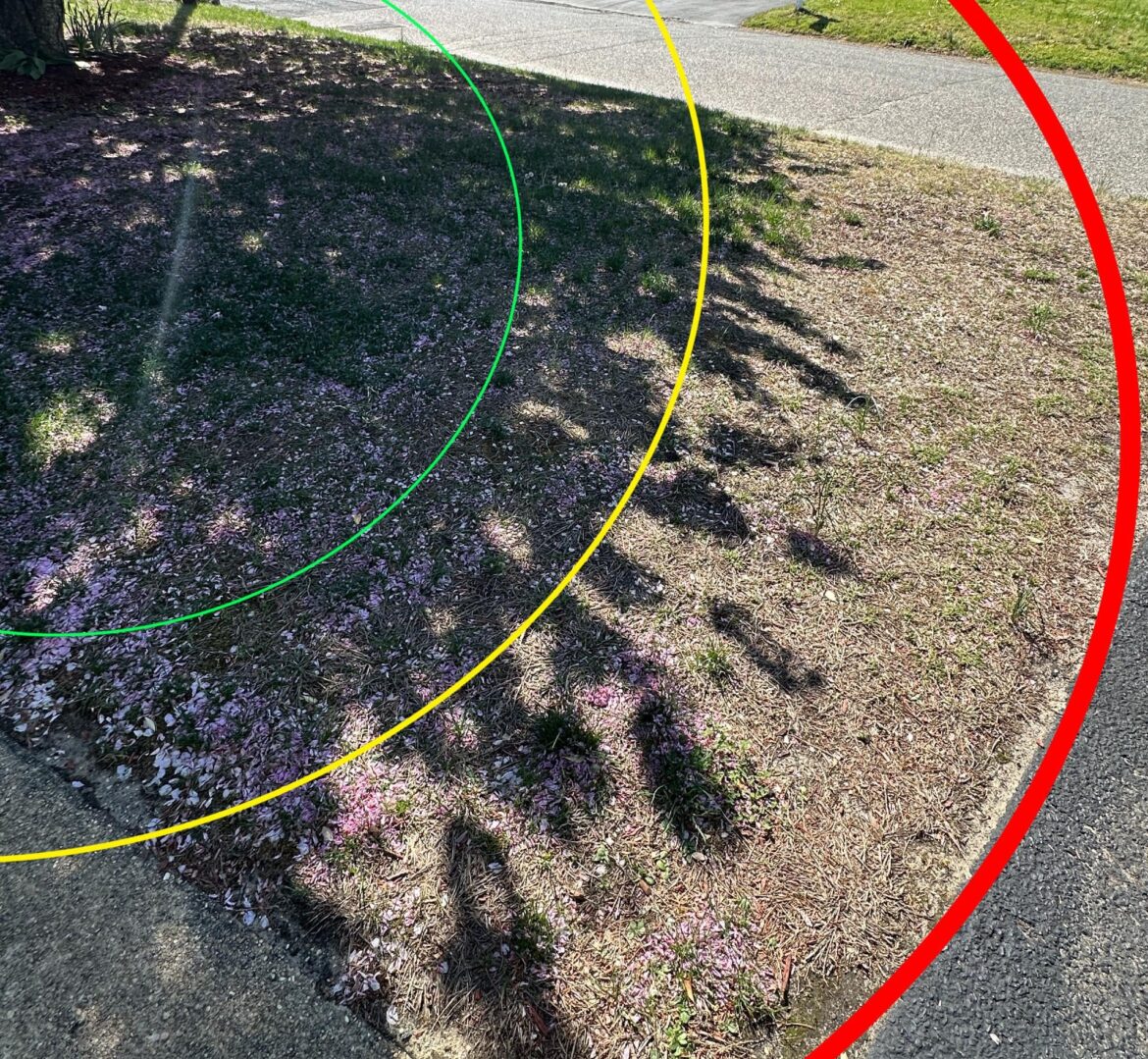 I’m starting the long road to rehab my yard. What do people do when their yard needs two type of grass seeds that can survive in polar opposite conditions? I'm starting the long road to rehab my yard. What do people do when their yard needs two type of grass seeds that can survive in polar opposite conditions?