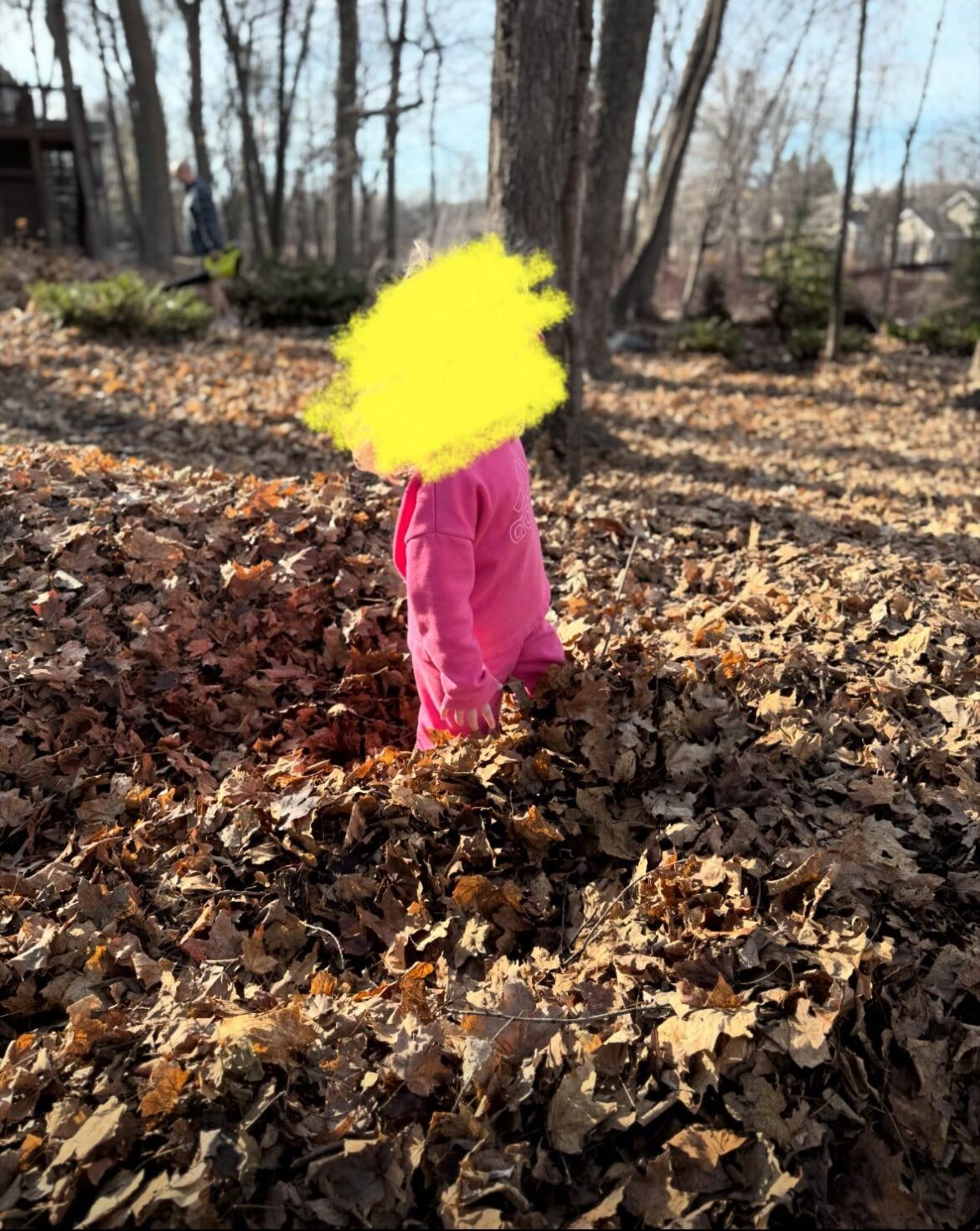 Solutions for insane amount of leaves? (WI)