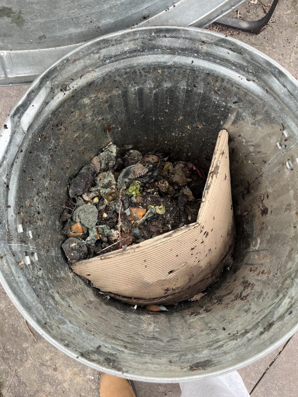 First Time Composter