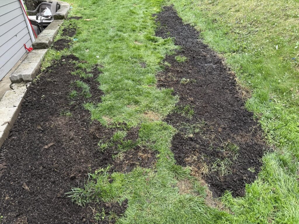 Decided to do my first seeding job before consulting the good people of Reddit. Now that it’s done, how would you rate my strategy?
