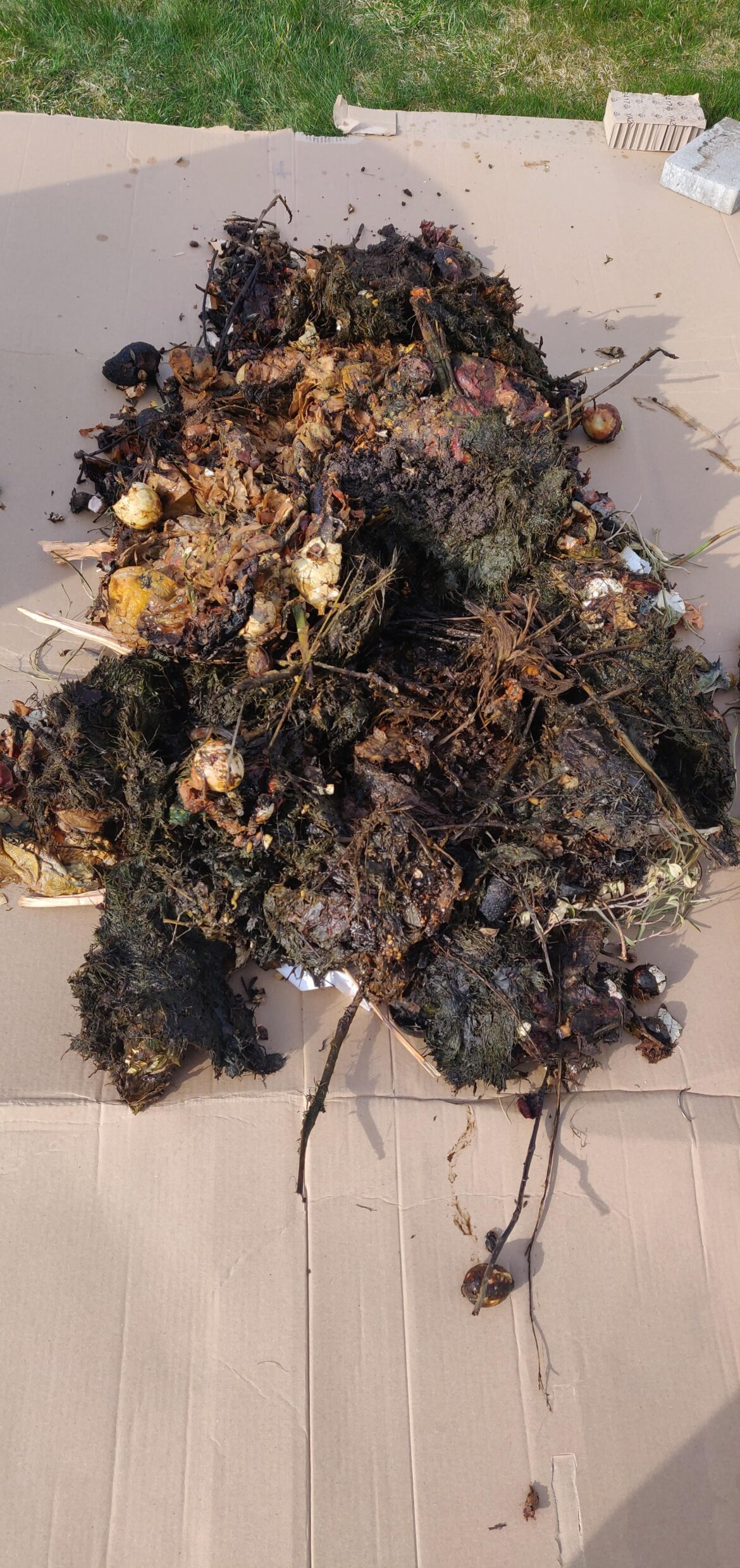 Can a pile this anaerobic be saved? Can a pile this anaerobic be saved?