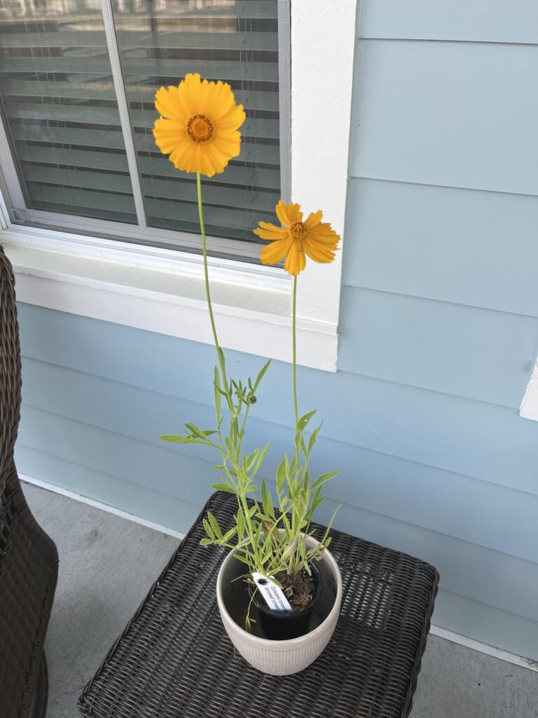 What to do while out of town? What to do while out of town?