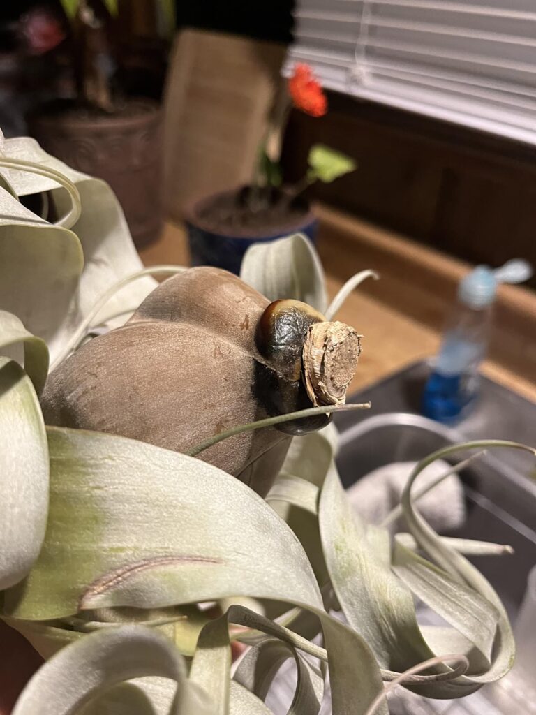 Watering help Watering help