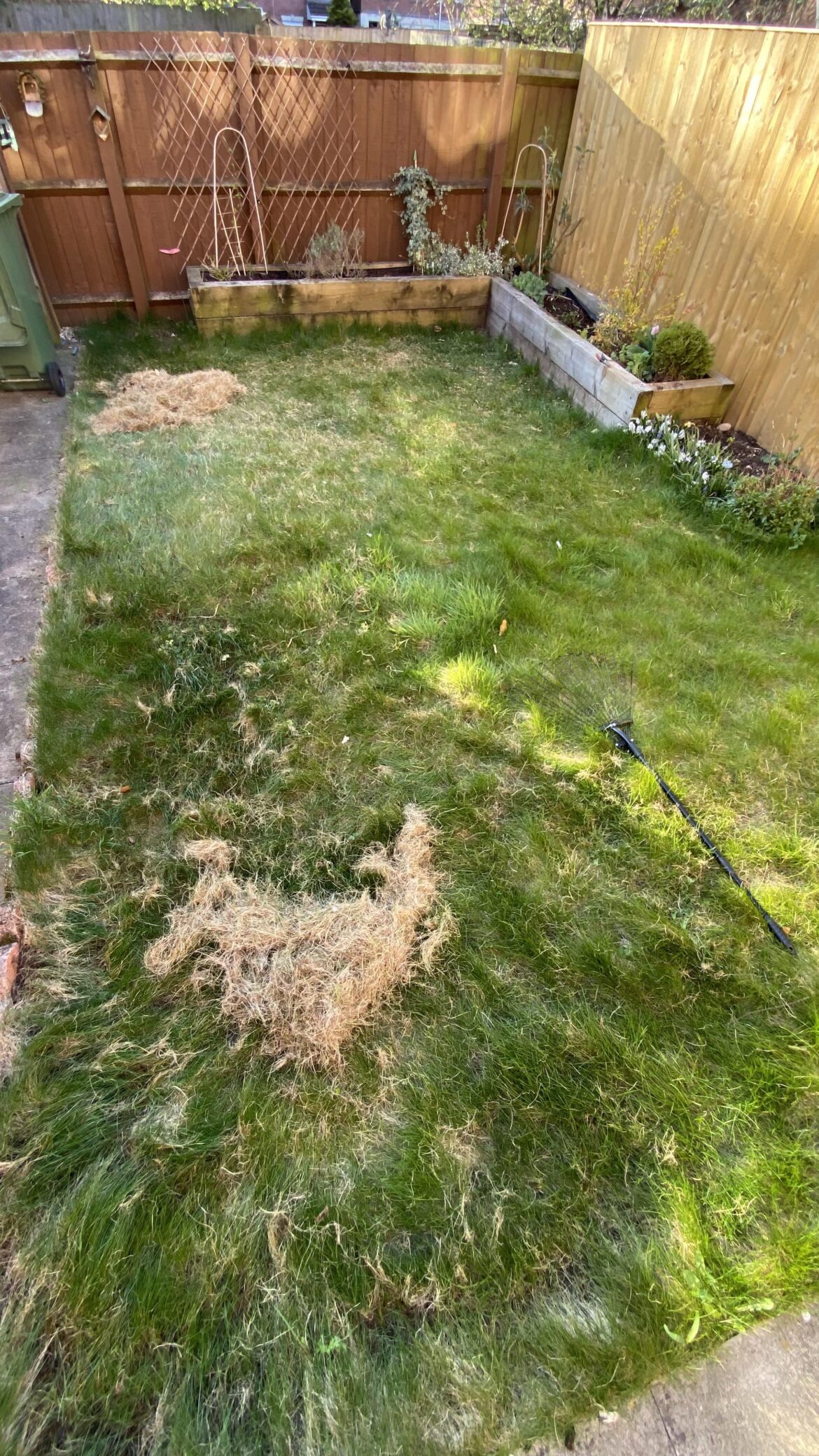 First Time Lawn Owner - MY BACK IS CRYING