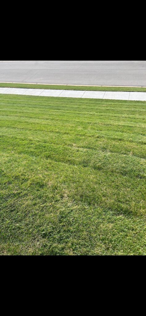 Timemaster leaving ruts even with cross directional more