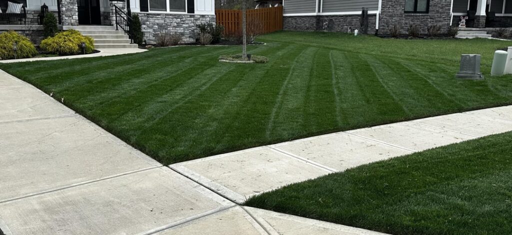 When that first mow of the year/season hits ❤️