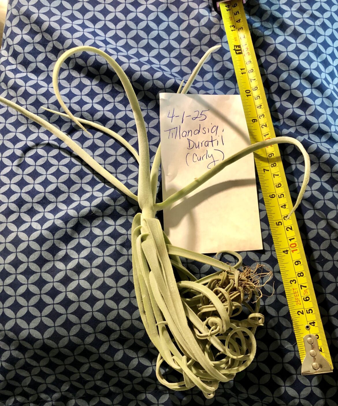 New Addition New Addition