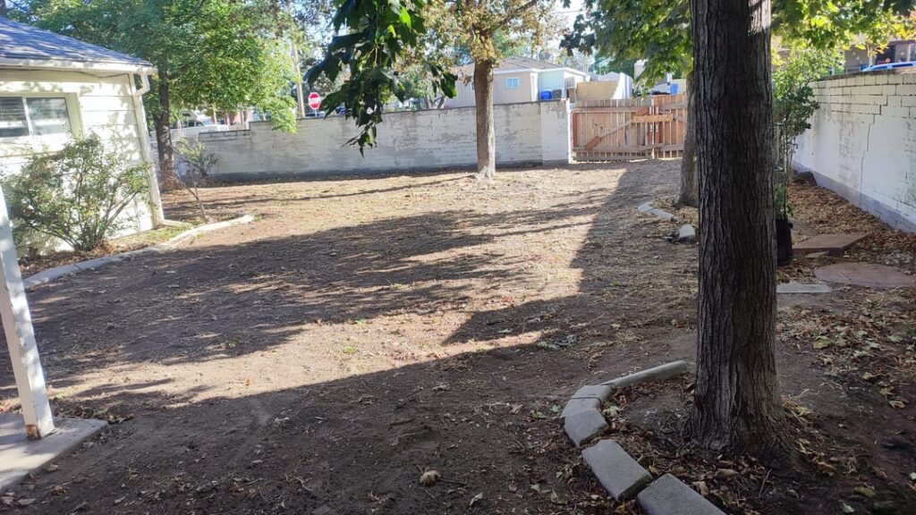 First Ever Lawn Renovation