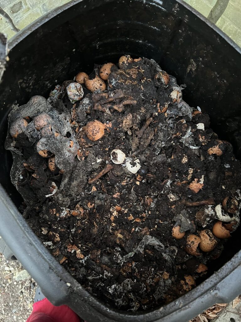 Help - Inherited compost eggs