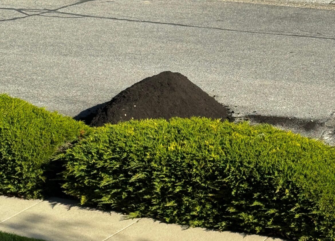 Reminder: Purchasing compost is expensive. Ugh