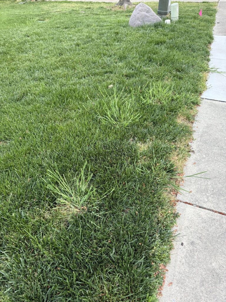 How can I fix this? How can I fix this?