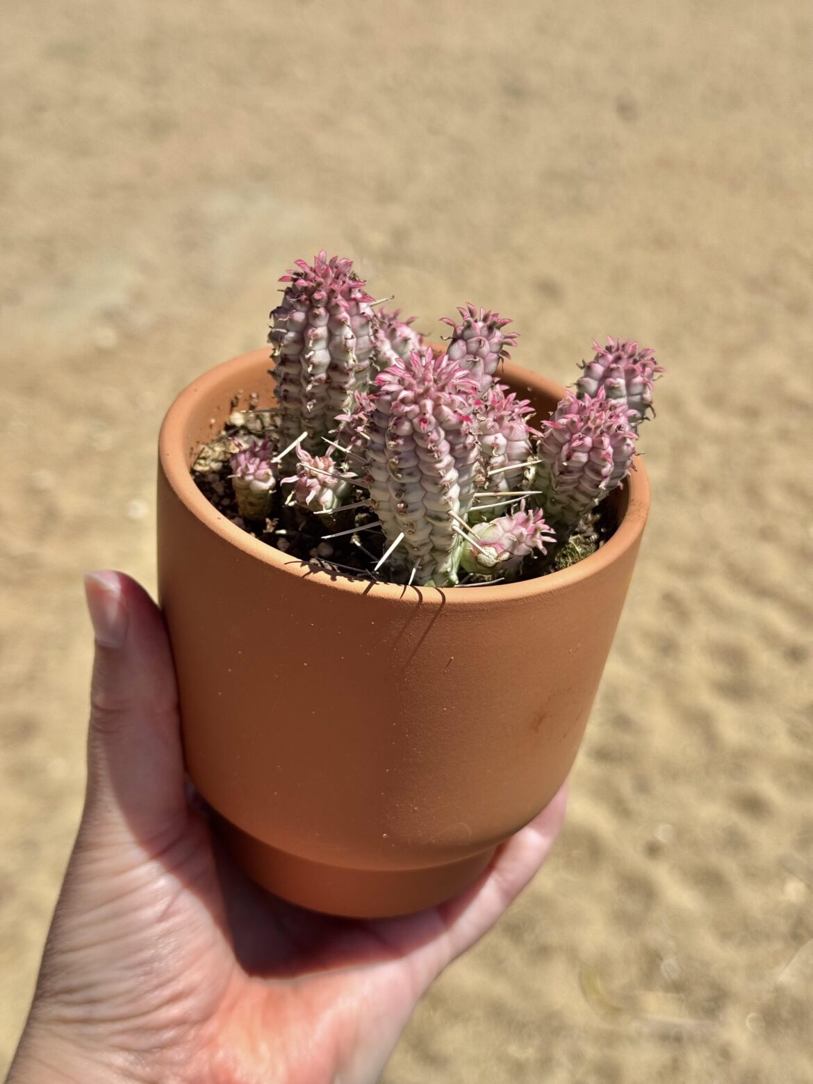 It’s getting so pink!!! 😍