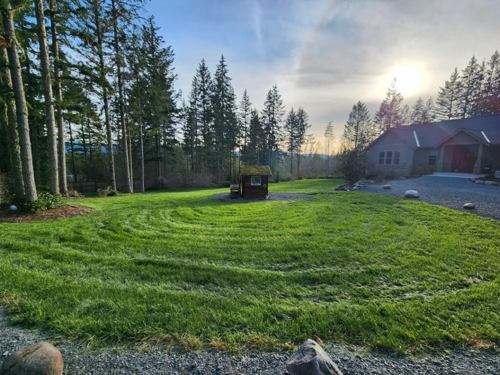 Got a cut into today