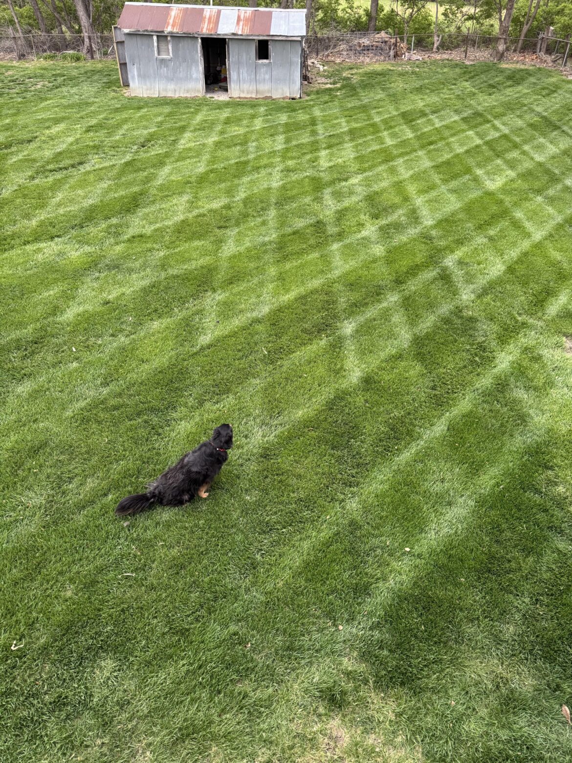 Lawn