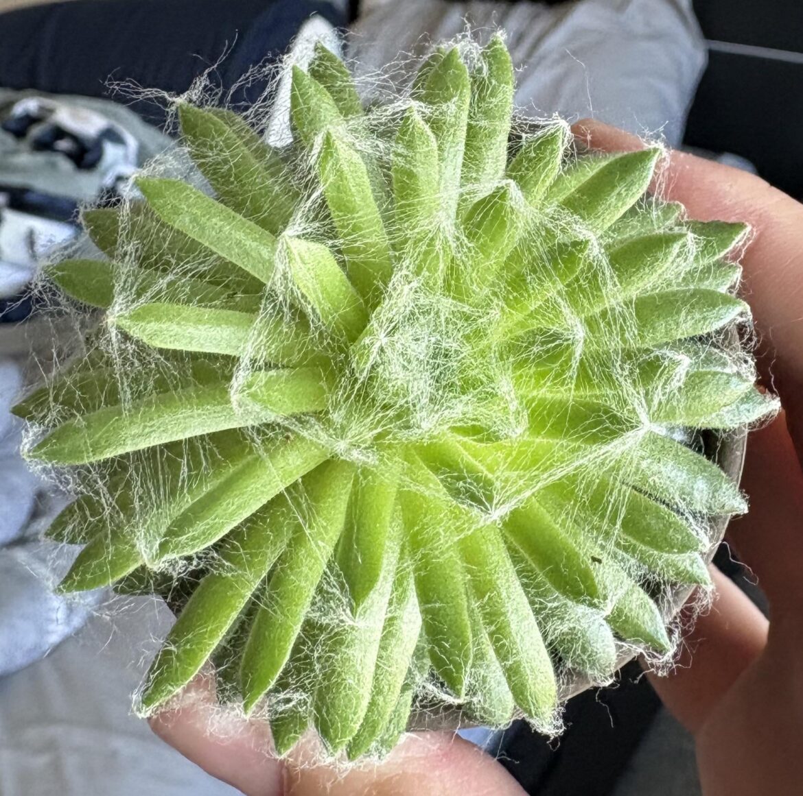 Help identify please!