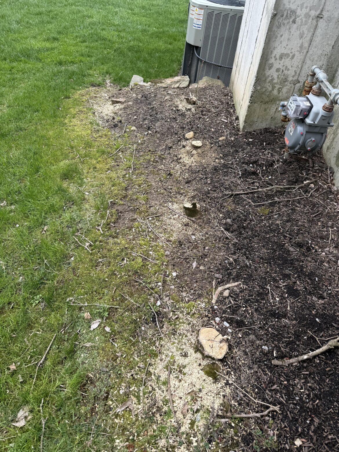 Is $220 fair for the removal of 5 stumps that are 6 inches across? Photos included