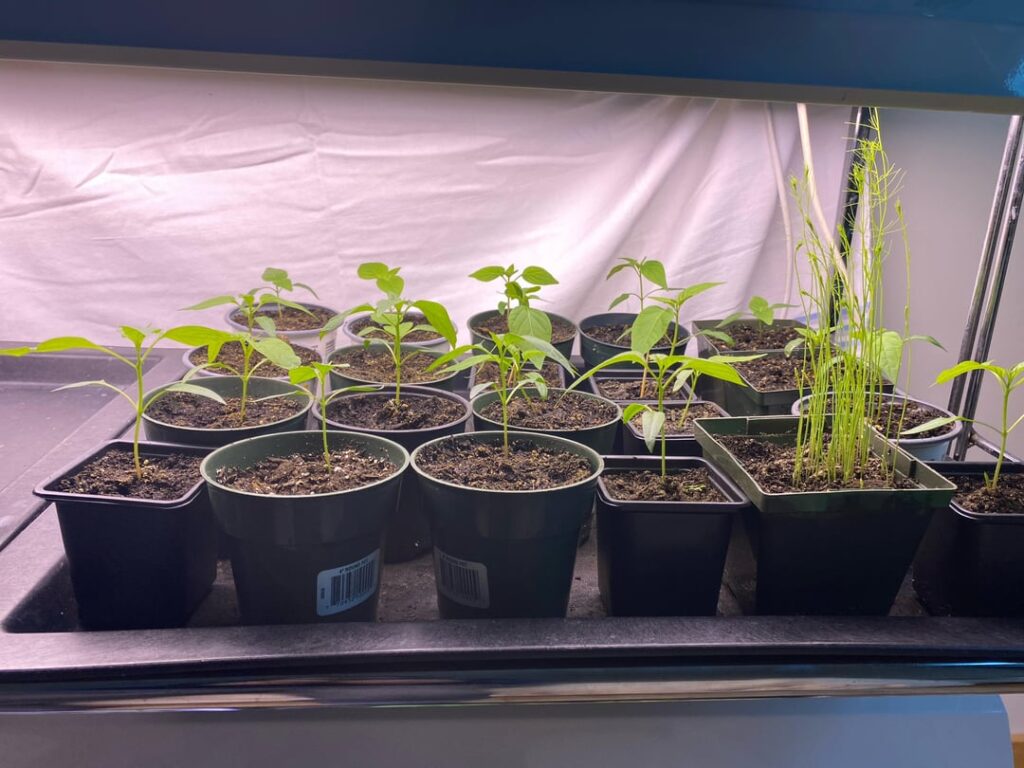 How’s the process looking?