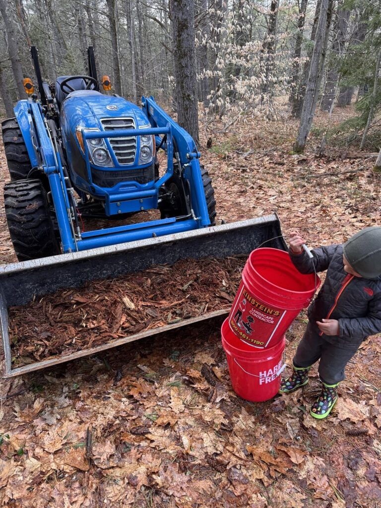 Collecting rotten wood with my son