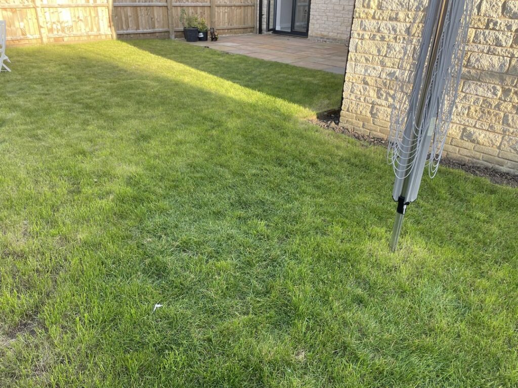 Bought my first house and complete newbie on lawncare. What is the process for improving grass that is 1-2 years old. Scarify and low nitrogen fertiliser?