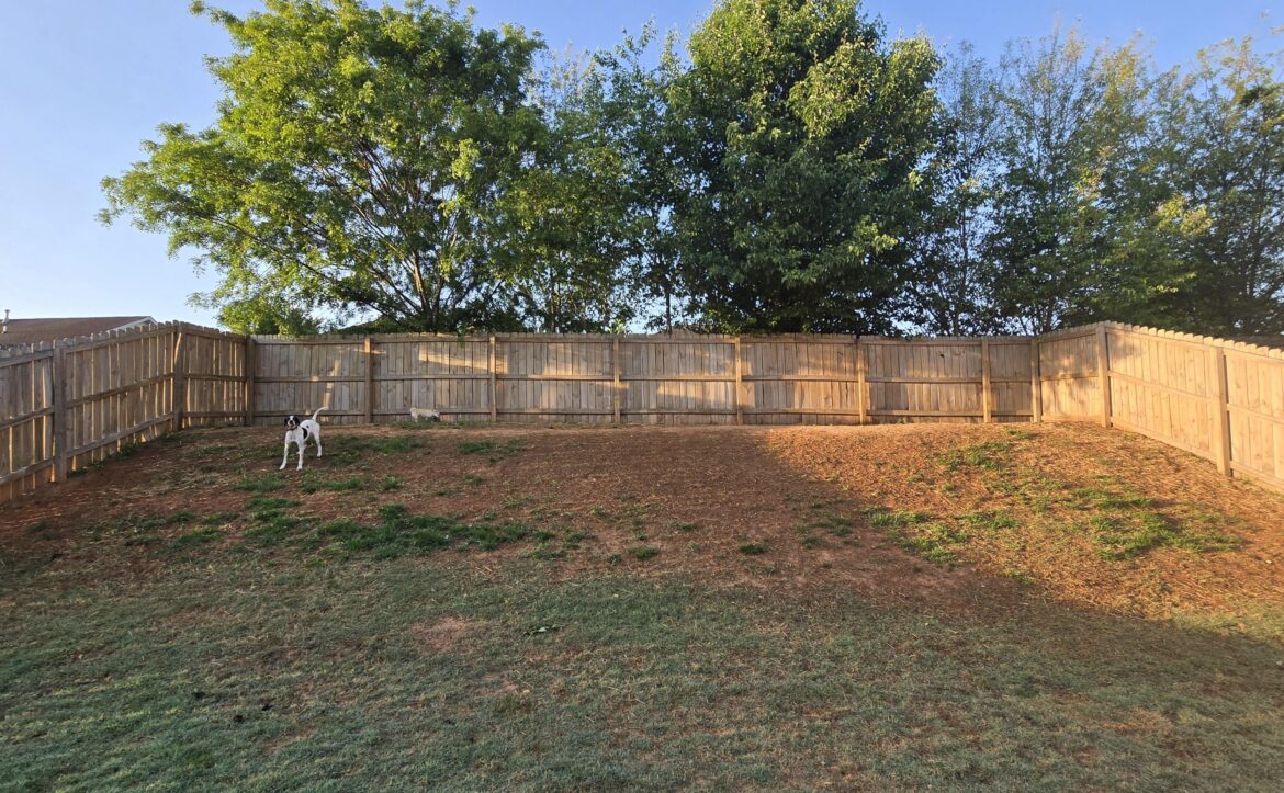 Need help growing grass on my shady hill. Need help growing grass on my shady hill.