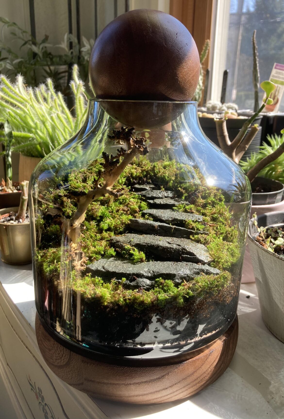 First Mossarium!