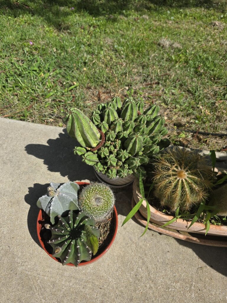 My model and burn victim