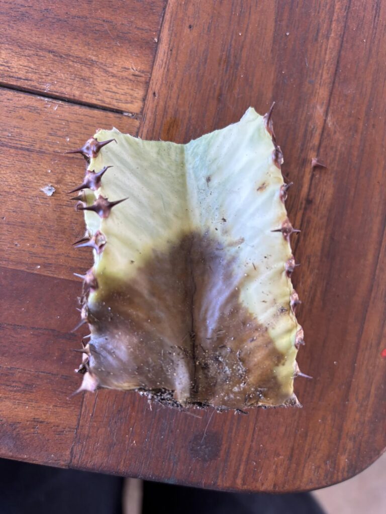 Why is this happening?