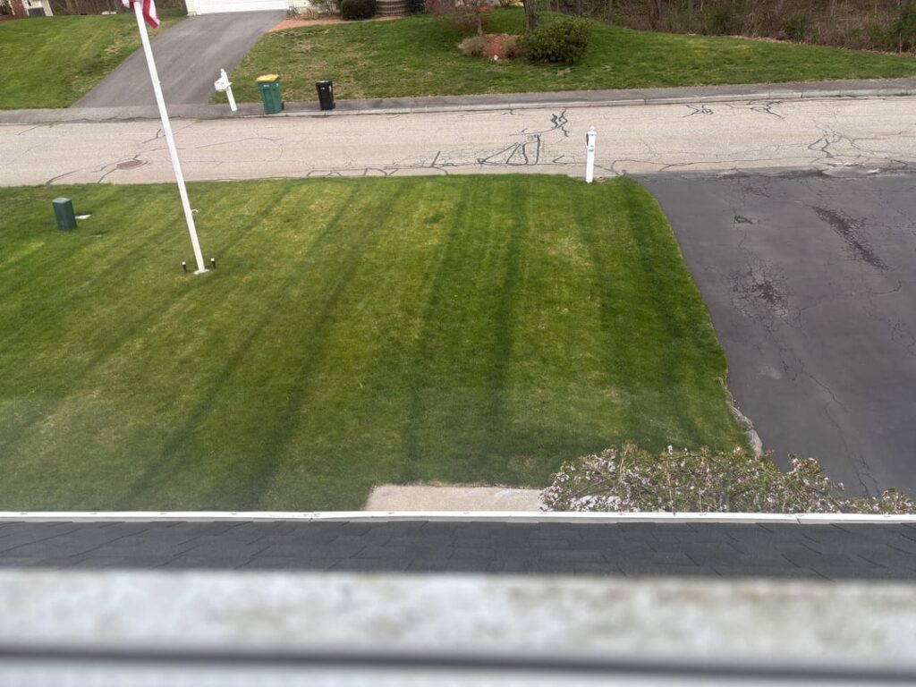 The old Scott’s affliction The old Scott’s affliction