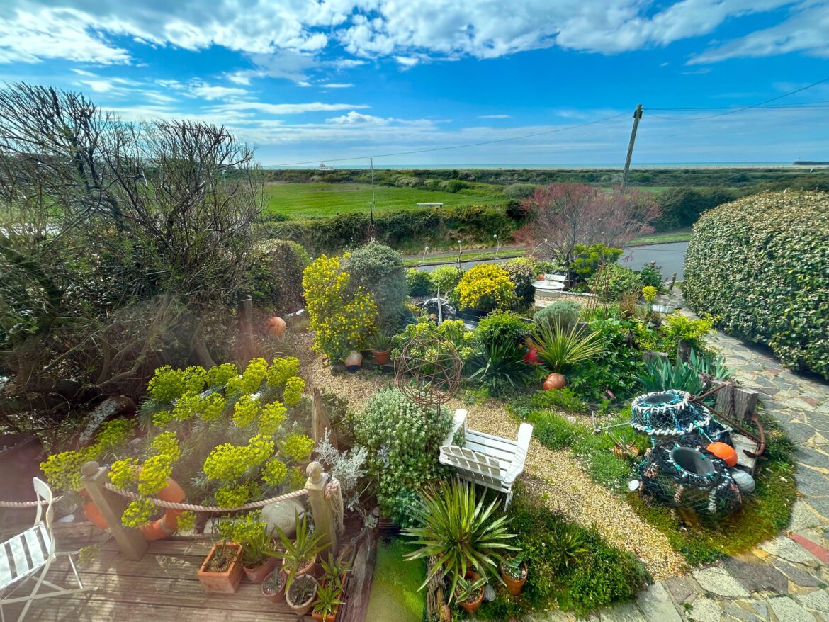 My wonderful garden this morning