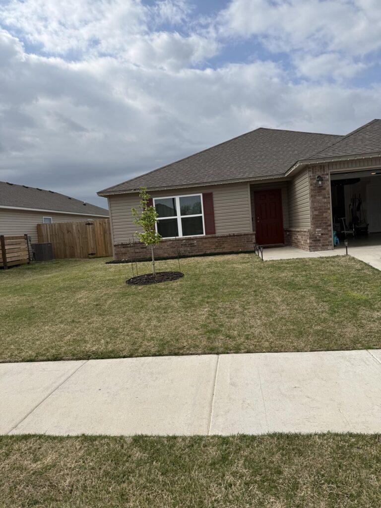 Bermuda leveling project