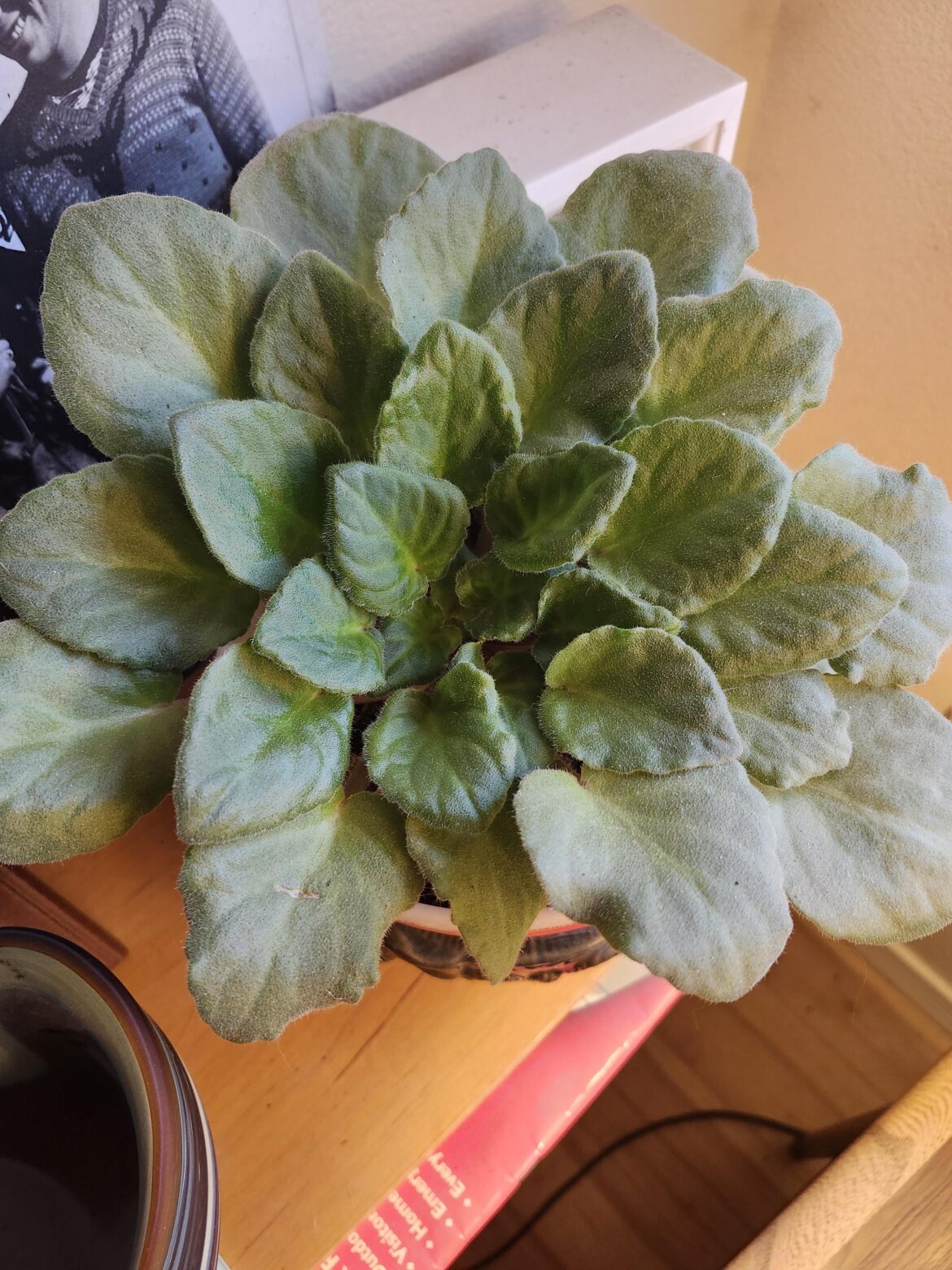 What am I doing wrong?