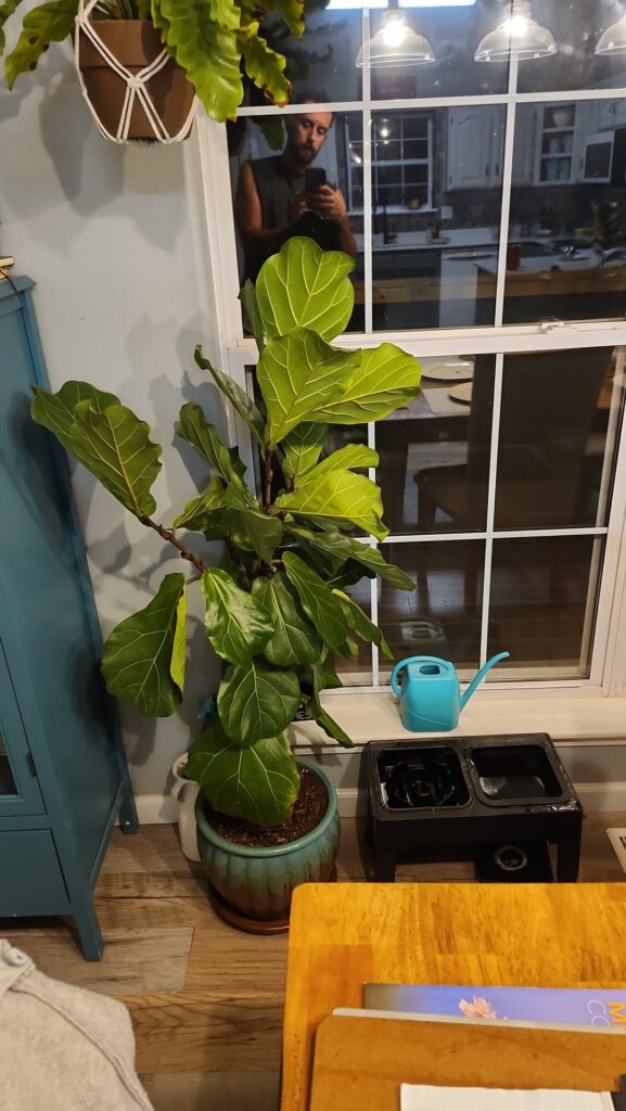 Where to trim?